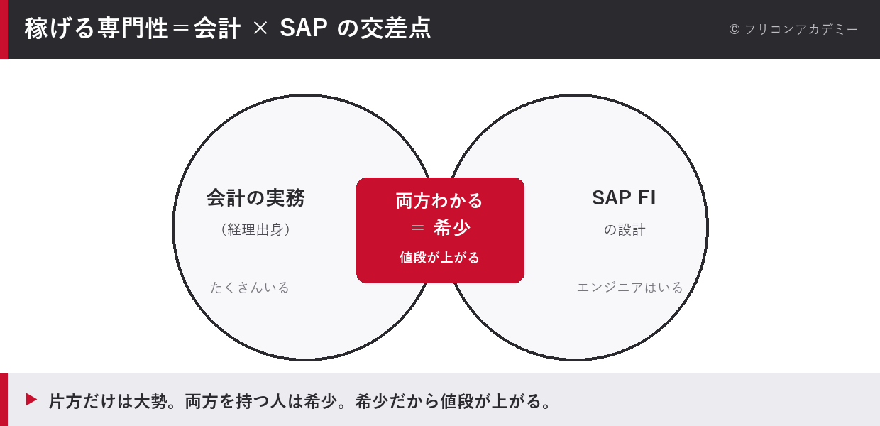稼げる専門性は会計の実務とSAP FIの設計が交わる希少な領域に生まれることを示したベン図